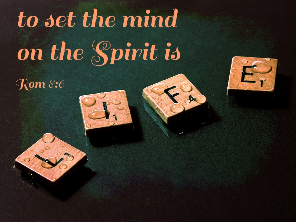 THE FOURTH SUNDAY AFTER PENTECOST