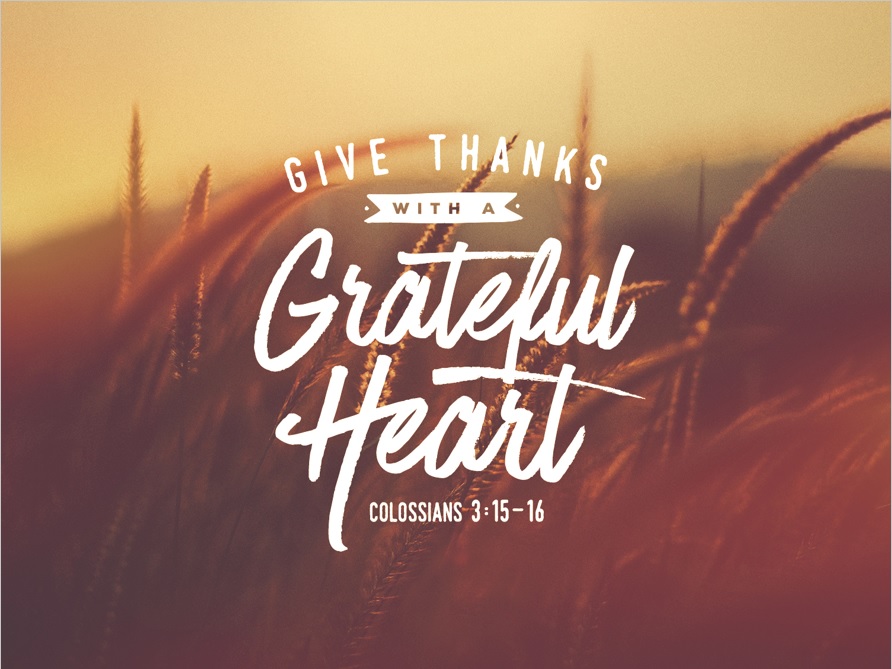 Primate’s Thanksgiving Day Message