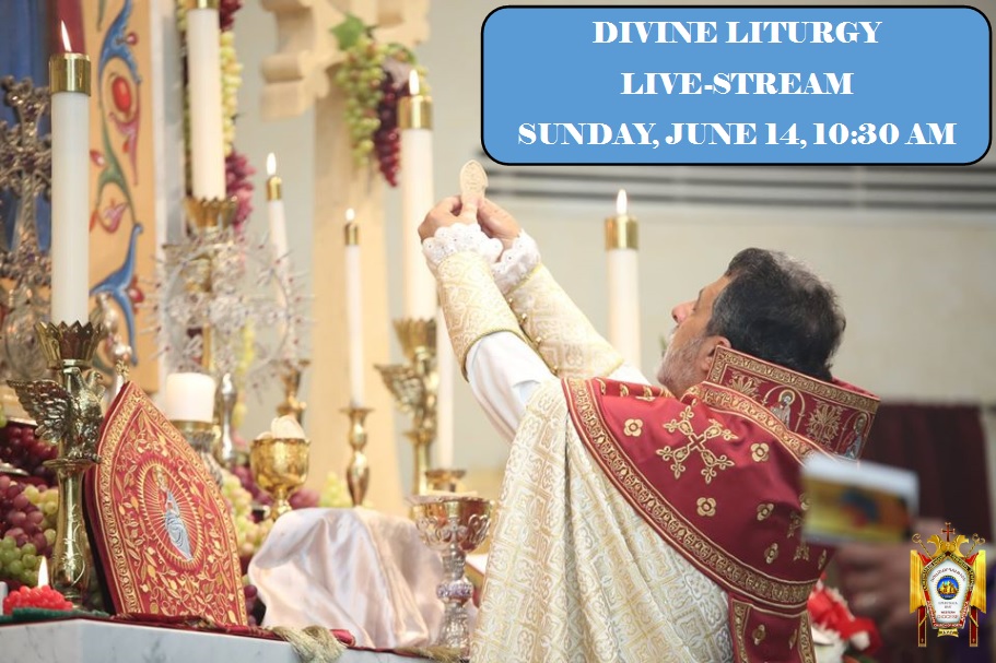 Episcopal Celebration of the Divine Liturgy to be Live-Streamed This Sunday