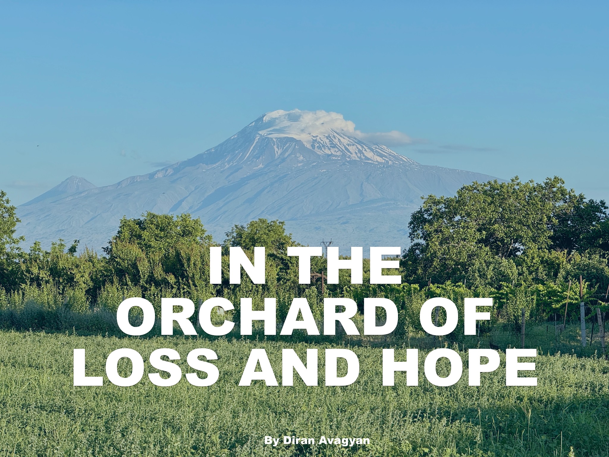 IN THE ORCHARD OF LOSS AND HOPE